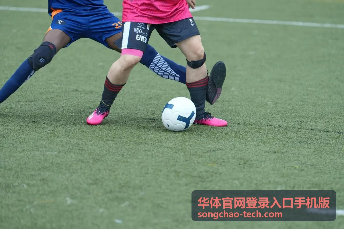 华体官网登录入口手机版移动端页面排版示例