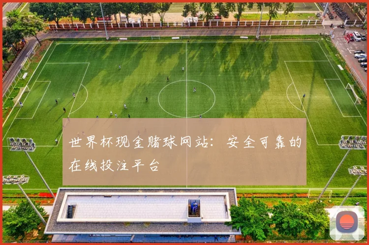 世界杯现金赌球网站:安全可靠的在线投注平台