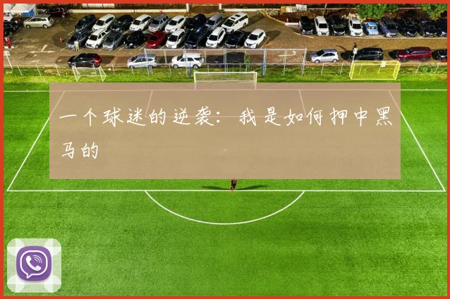 一个球迷的逆袭:我是如何押中黑马的