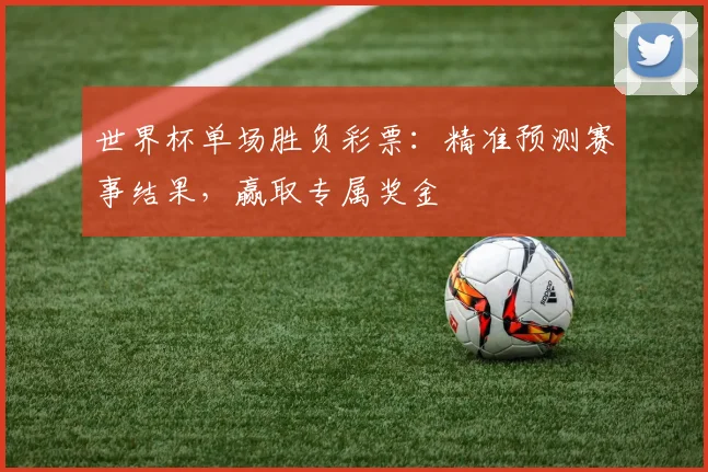 世界杯单场胜负彩票:精准预测赛事结果,赢取专属奖金