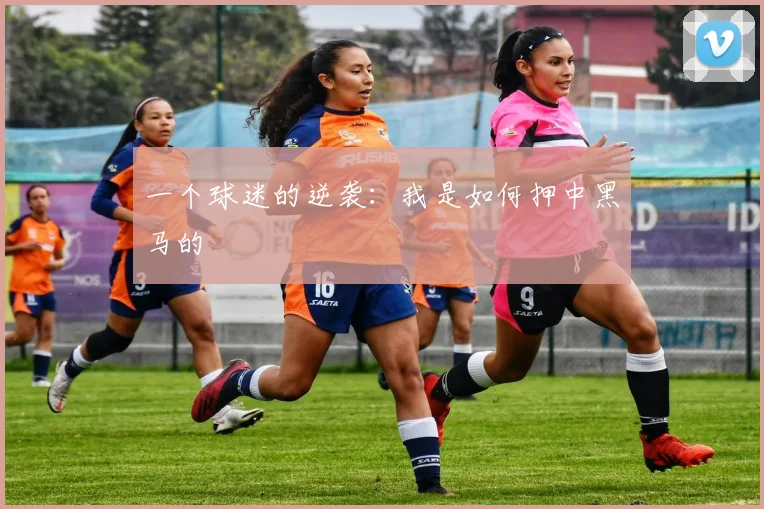 一个球迷的逆袭:我是如何押中黑马的