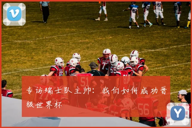 专访瑞士队主帅:我们如何成功晋级世界杯
