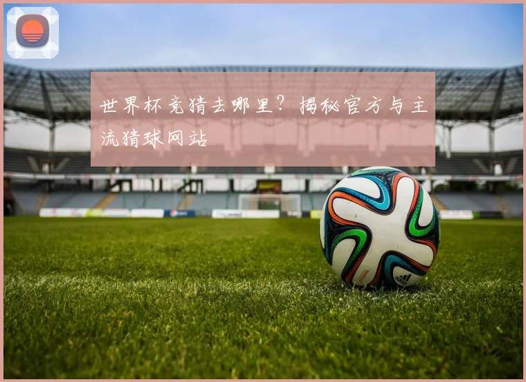 世界杯竞猜去哪里？揭秘官方与主流猜球网站