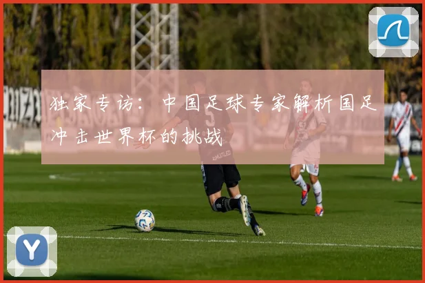 独家专访：中国足球专家解析国足冲击世界杯的挑战