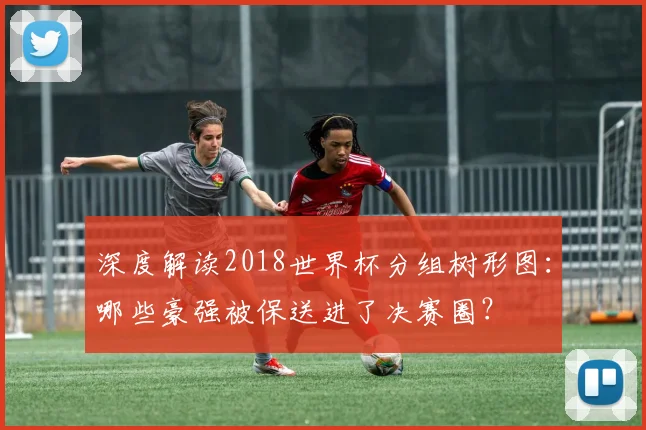深度解读2018世界杯分组树形图：哪些豪强被保送进了决赛圈？