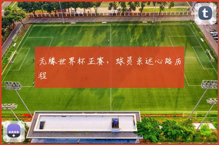 无缘世界杯正赛，球员亲述心路历程