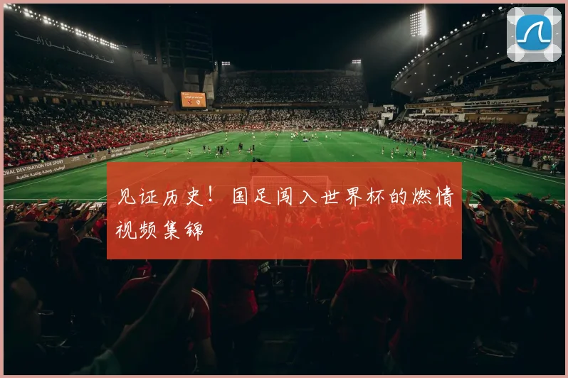 见证历史！国足闯入世界杯的燃情视频集锦