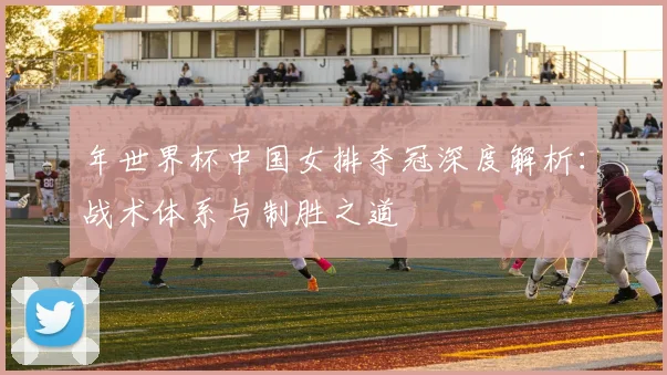 年世界杯中国女排夺冠深度解析：战术体系与制胜之道